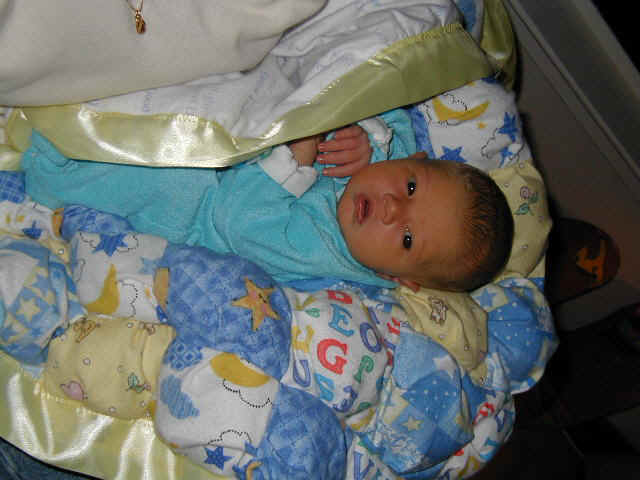 P1090010.JPG (61967 bytes)