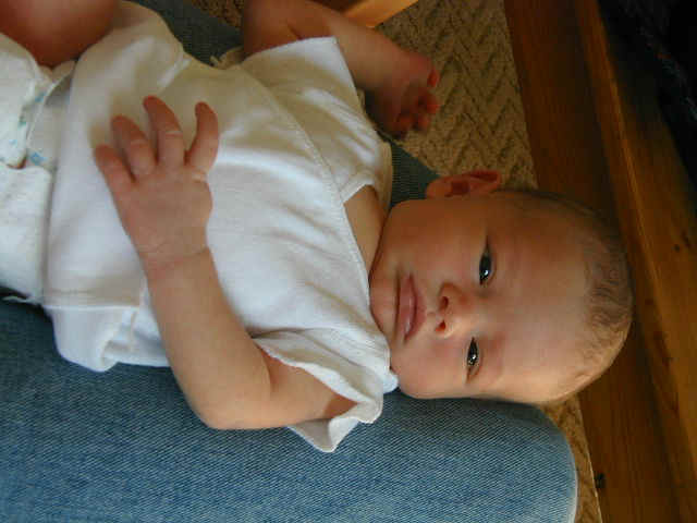 P1130022.JPG (58356 bytes)